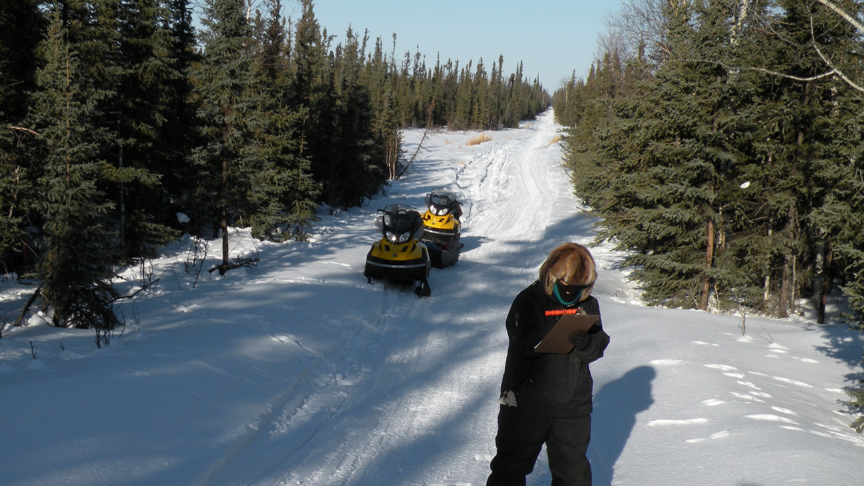 Rex Trail in winter photo