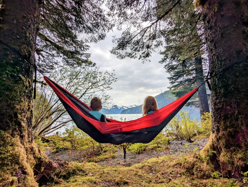 young kids sitting in a hammock suspended between two large spruce trees looking out over thumb cove