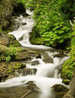 McHugh Creek Day Use Area