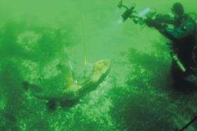 Taking a Video of the anchor