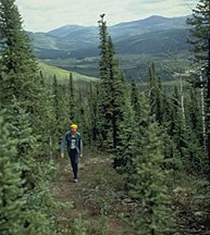 Hiker in Chena River SRA