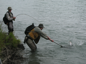 Catching Salmon in Kenai River