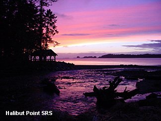 Halibut Point State Recreation Site