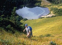 Afognak Island