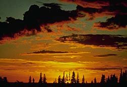 Chena River Sunset