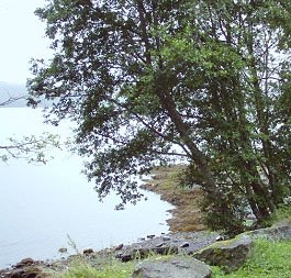 Refuge Cove State Recreation Site