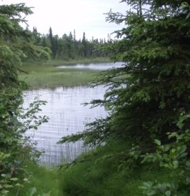 Stormy Lake