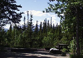 Donnelly Creek Campsite